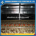 Low cost steel structure poultry farming business plan commercial chicken house